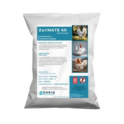 ZuriNATE 60