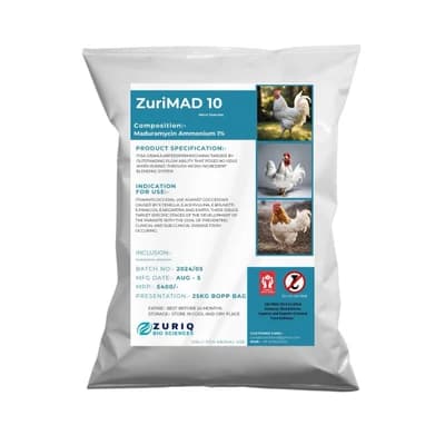 ZuriMAD 10