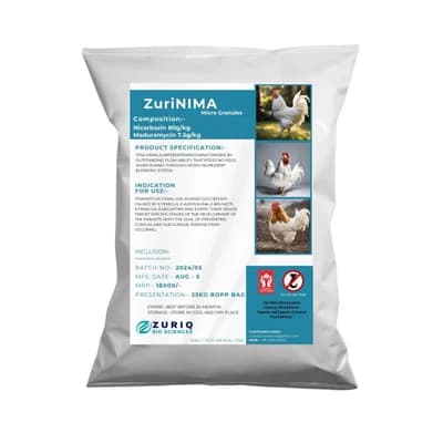 ZuriNIMA